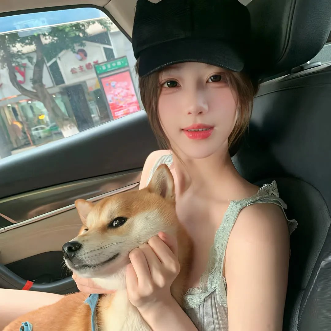 囧途追击