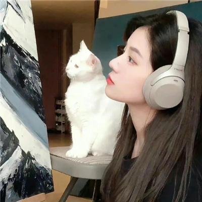 梅花红桃